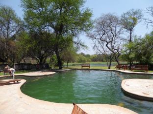 Antelope Park pool